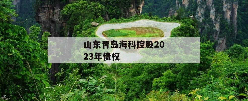 山东青岛海科控股2023年债权