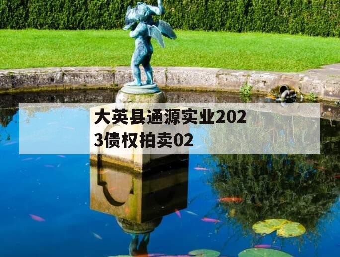 大英县通源实业2023债权拍卖02