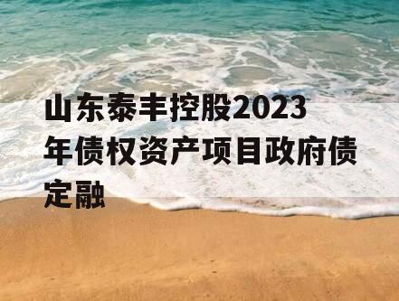 山东泰丰控股2023年债权资产项目政府债定融