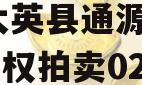 四川大英县通源实业2023债权拍卖02