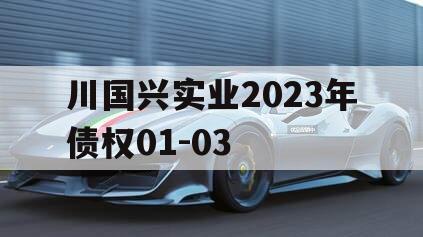 川国兴实业2023年债权01-03