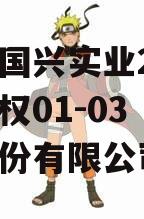 四川国兴实业2023年债权01-03（国兴股份有限公司）