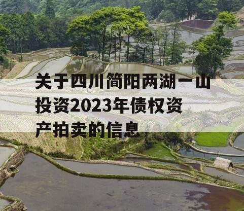 关于四川简阳两湖一山投资2023年债权资产拍卖的信息