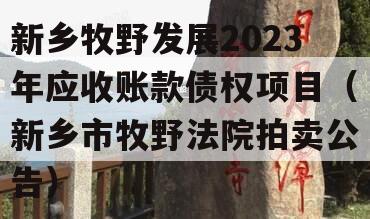 新乡牧野发展2023年应收账款债权项目（新乡市牧野法院拍卖公告）