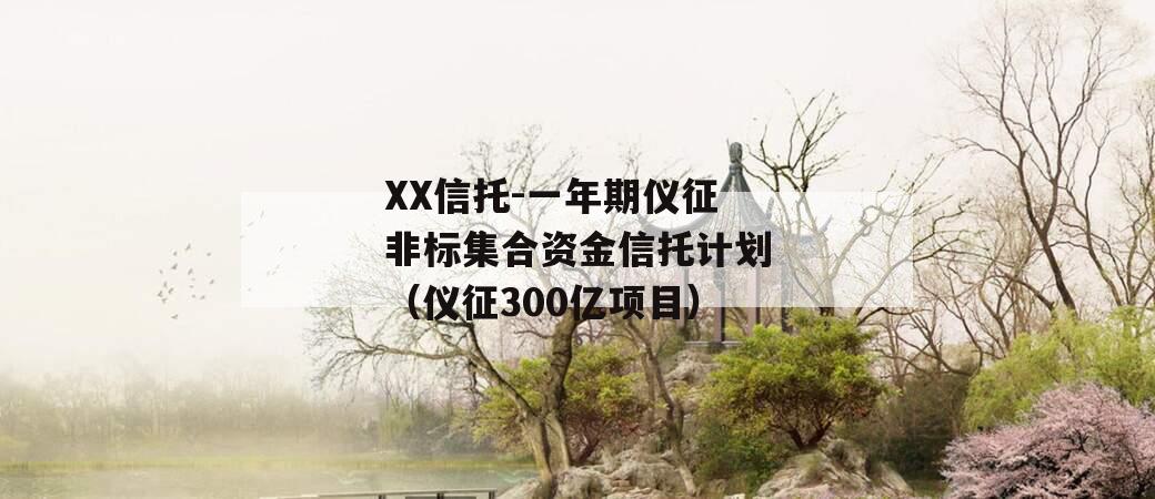 XX信托-一年期仪征非标集合资金信托计划（仪征300亿项目）