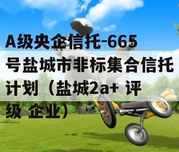 A级央企信托-665号盐城市非标集合信托计划（盐城2a+ 评级 企业）