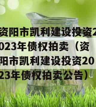 资阳市凯利建设投资2023年债权拍卖（资阳市凯利建设投资2023年债权拍卖公告）