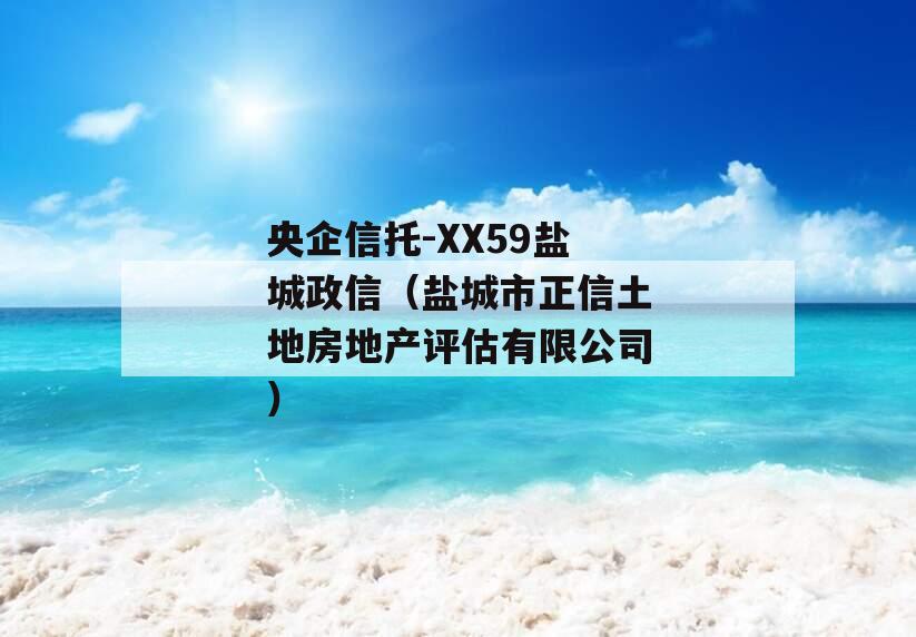 央企信托-XX59盐城政信（盐城市正信土地房地产评估有限公司）