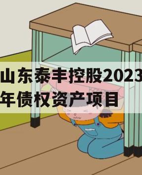 山东泰丰控股2023年债权资产项目