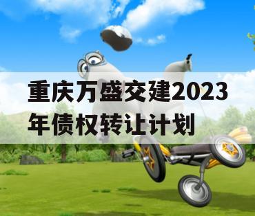 重庆万盛交建2023年债权转让计划