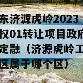 山东济源虎岭2023债权01转让项目政府债定融（济源虎岭工业园区属于哪个区）