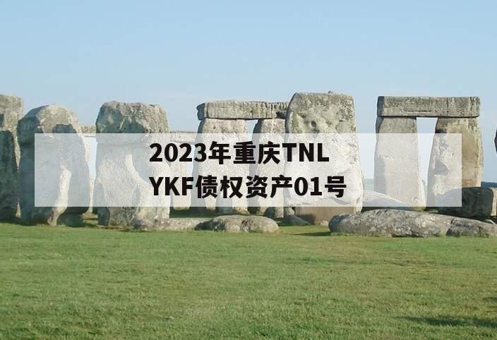 2023年重庆TNLYKF债权资产01号