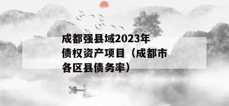 成都强县域2023年债权资产项目（成都市各区县债务率）