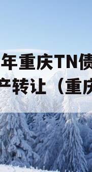 2023年重庆TN债权资产转让（重庆债主）