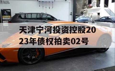 天津宁河投资控股2023年债权拍卖02号