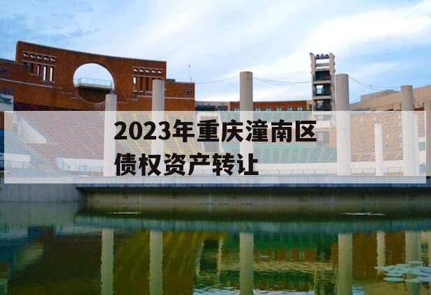 2023年重庆潼南区债权资产转让