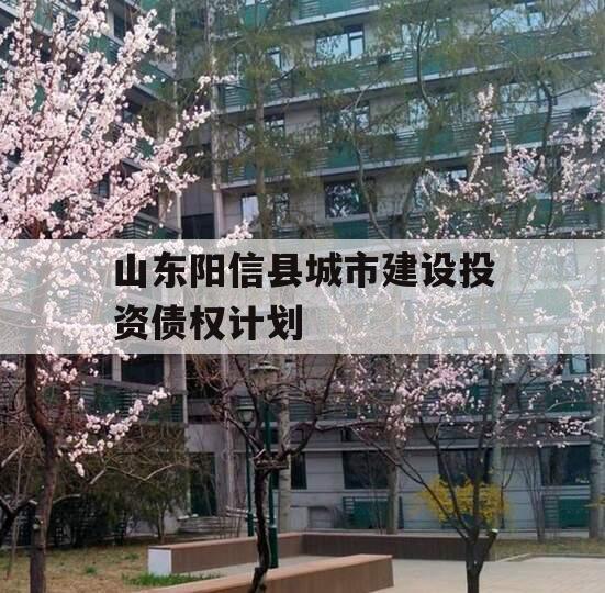 山东阳信县城市建设投资债权计划