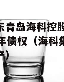 山东青岛海科控股2023年债权（海科集团资产）