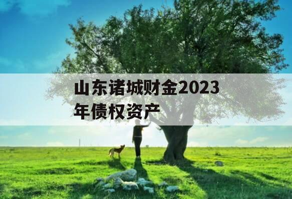 山东诸城财金2023年债权资产