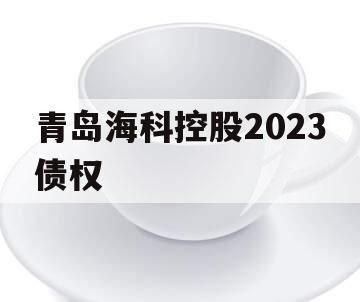 青岛海科控股2023债权