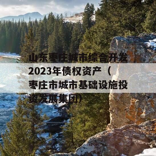 山东枣庄城市综合开发2023年债权资产（枣庄市城市基础设施投资发展集团）