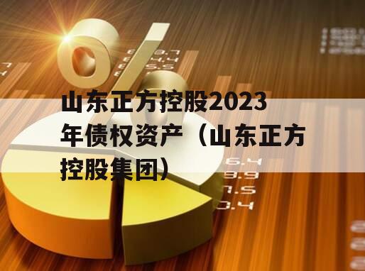 山东正方控股2023年债权资产（山东正方控股集团）