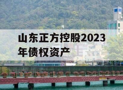 山东正方控股2023年债权资产