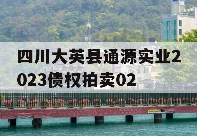 四川大英县通源实业2023债权拍卖02