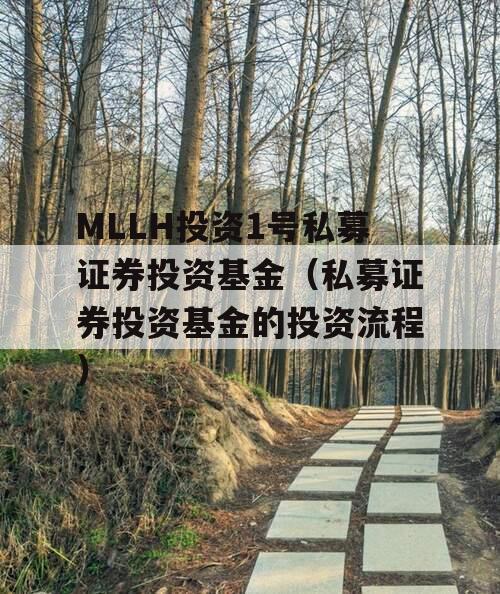 MLLH投资1号私募证券投资基金（私募证券投资基金的投资流程）