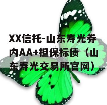 XX信托-山东寿光券内AA+担保标债（山东寿光交易所官网）