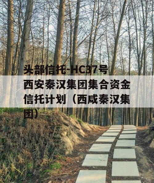 头部信托-HC37号西安秦汉集团集合资金信托计划（西咸秦汉集团）