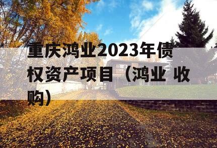 重庆鸿业2023年债权资产项目（鸿业 收购）