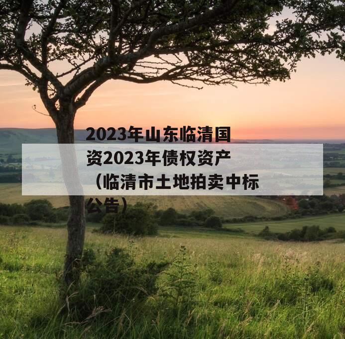 2023年山东临清国资2023年债权资产（临清市土地拍卖中标公告）