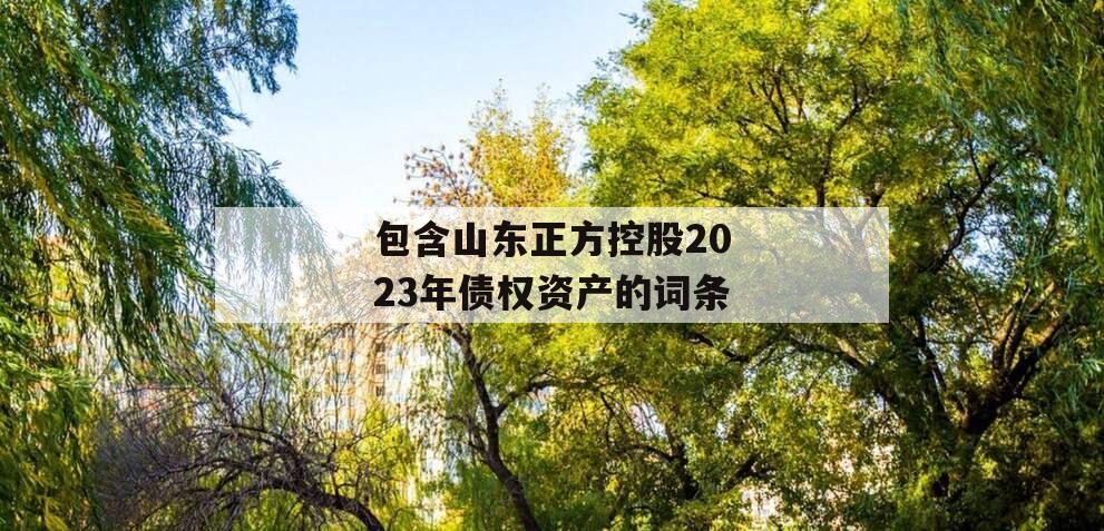 包含山东正方控股2023年债权资产的词条