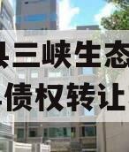 奉节县三峡生态发展2023年债权转让项目