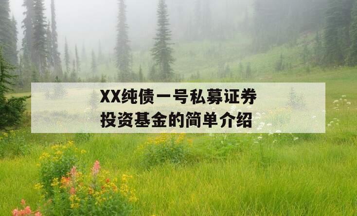 XX纯债一号私募证券投资基金的简单介绍