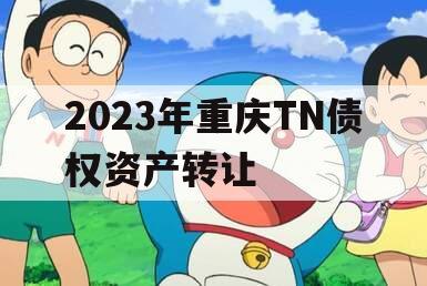 2023年重庆TN债权资产转让