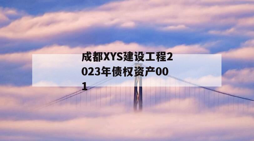 成都XYS建设工程2023年债权资产001