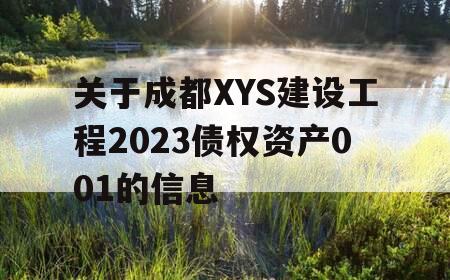 关于成都XYS建设工程2023债权资产001的信息