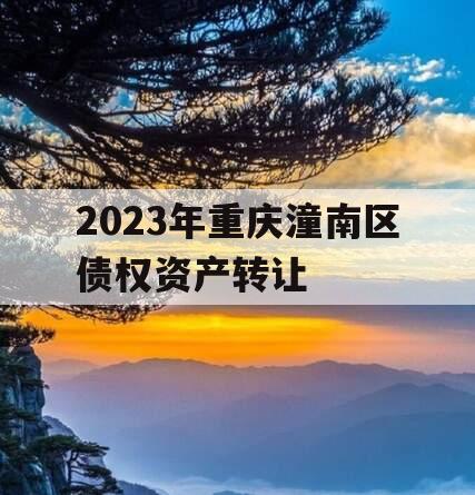 2023年重庆潼南区债权资产转让