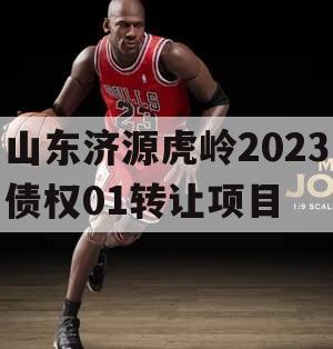 山东济源虎岭2023债权01转让项目