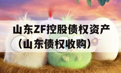 山东ZF控股债权资产（山东债权收购）