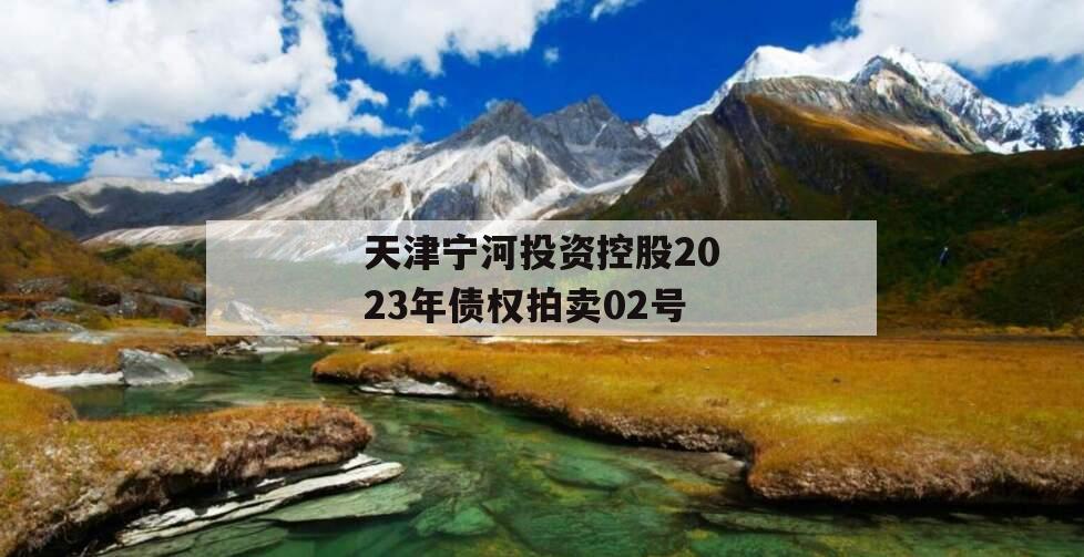 天津宁河投资控股2023年债权拍卖02号