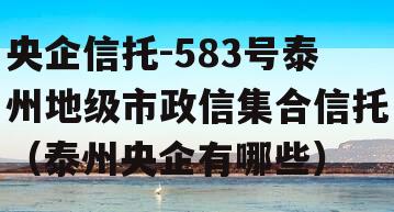 央企信托-583号泰州地级市政信集合信托（泰州央企有哪些）