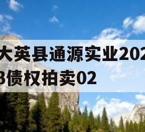 大英县通源实业2023债权拍卖02