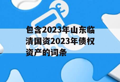 包含2023年山东临清国资2023年债权资产的词条