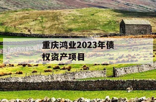 重庆鸿业2023年债权资产项目