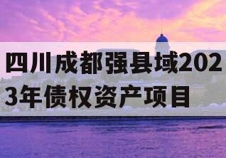 四川成都强县域2023年债权资产项目