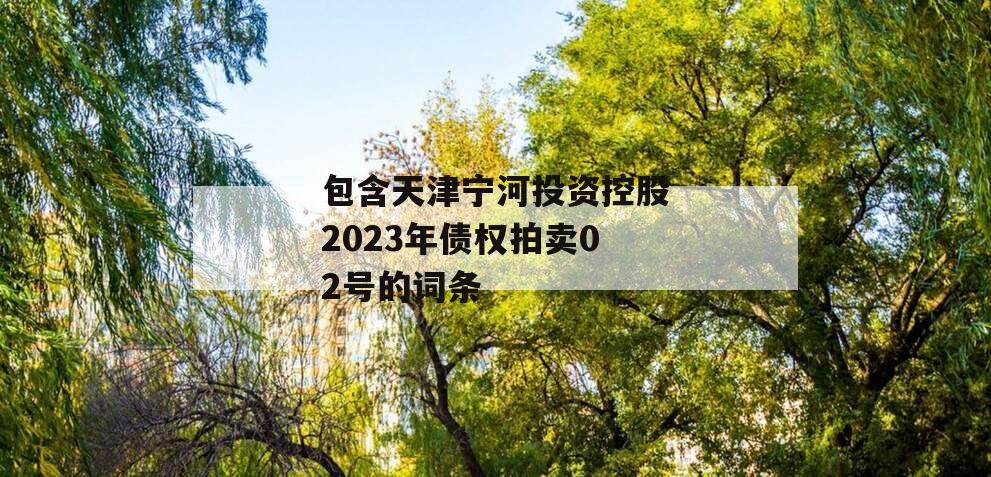 包含天津宁河投资控股2023年债权拍卖02号的词条