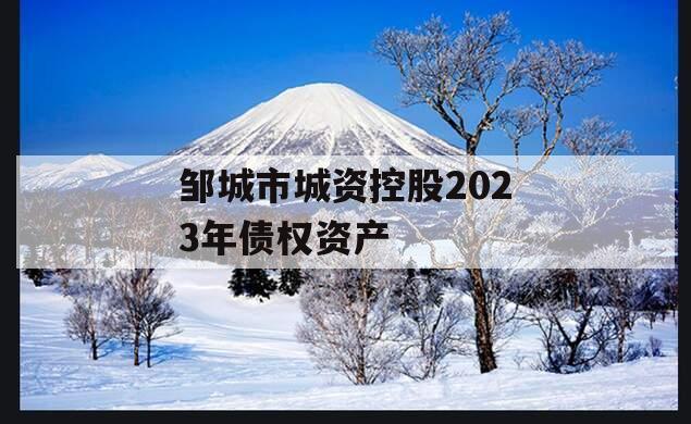 邹城市城资控股2023年债权资产